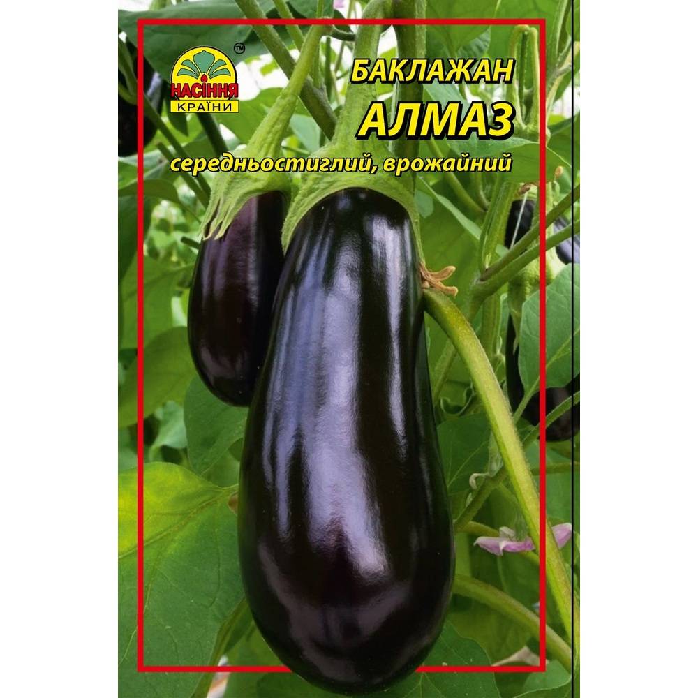 almaz 🌱Семена баклажана Алмаз 0,3 г — изображение 1