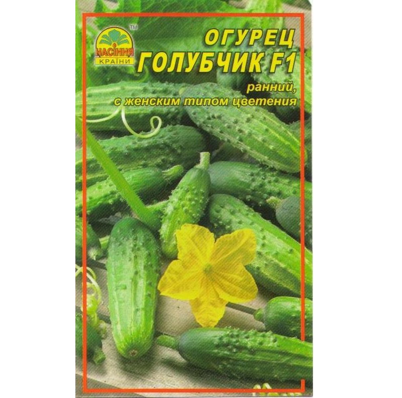 голубчик golubchik