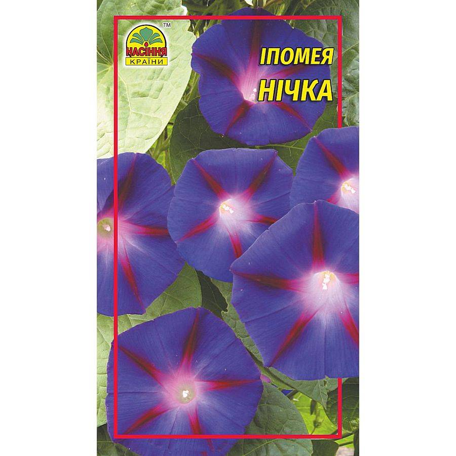 Іпомея Нічка Цветы Ипомея ночка - 0,5г — изображение 1