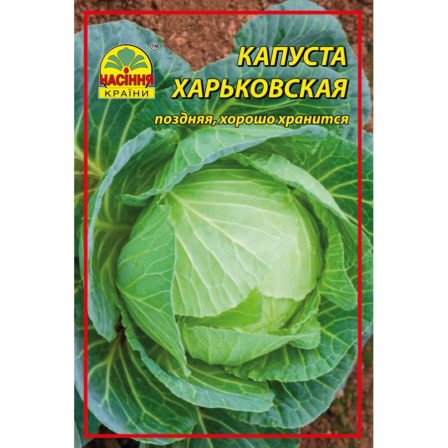 Kap_Xarkovskay_Big-01 Капуста Харьковская - 10 г — изображение 1