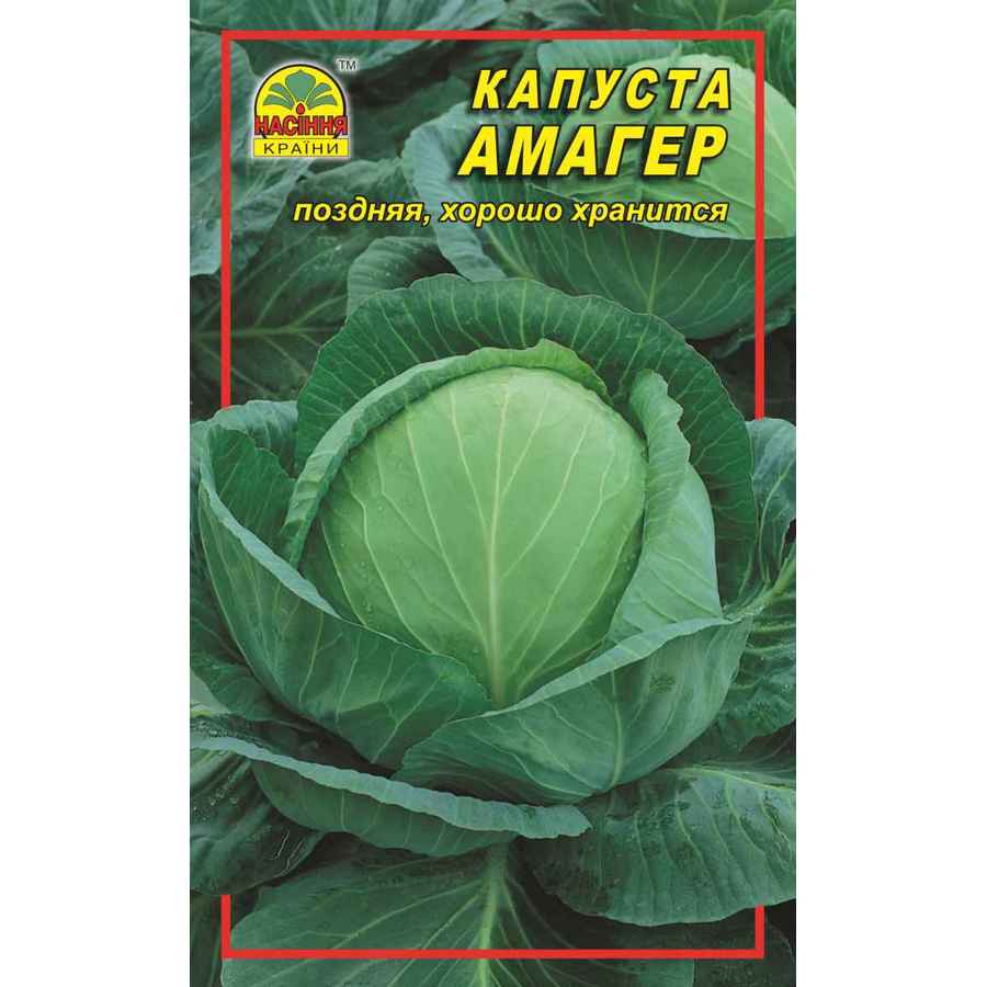 Капуста Амагер 943721_1 Капуста Амагер - 1 г — изображение 1
