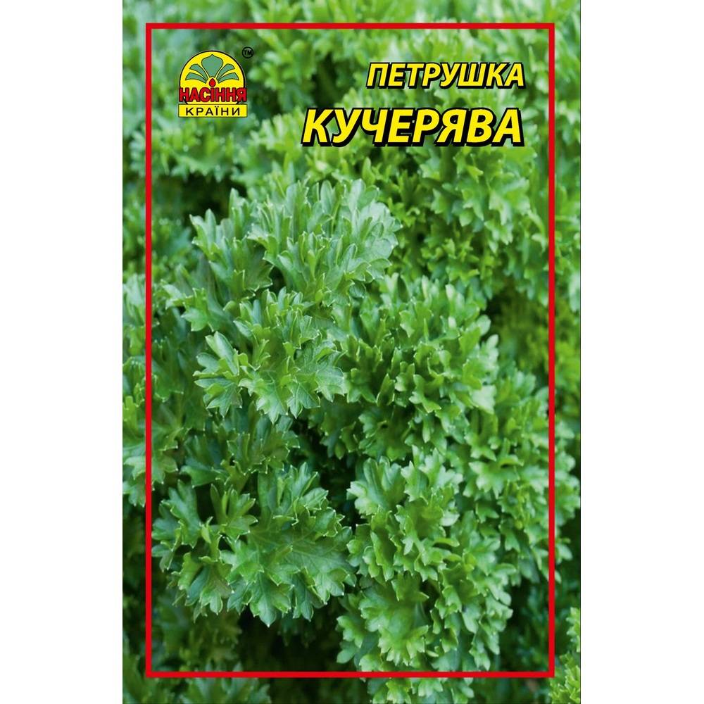 kucher Петрушка кучерява - 2 г - Зображення 1