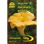 Лисичка желтая - 10г