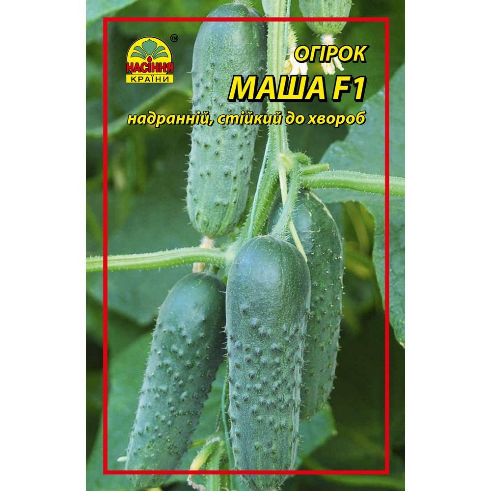 masha Огірок Маша F1 - 5 шт - Зображення 1