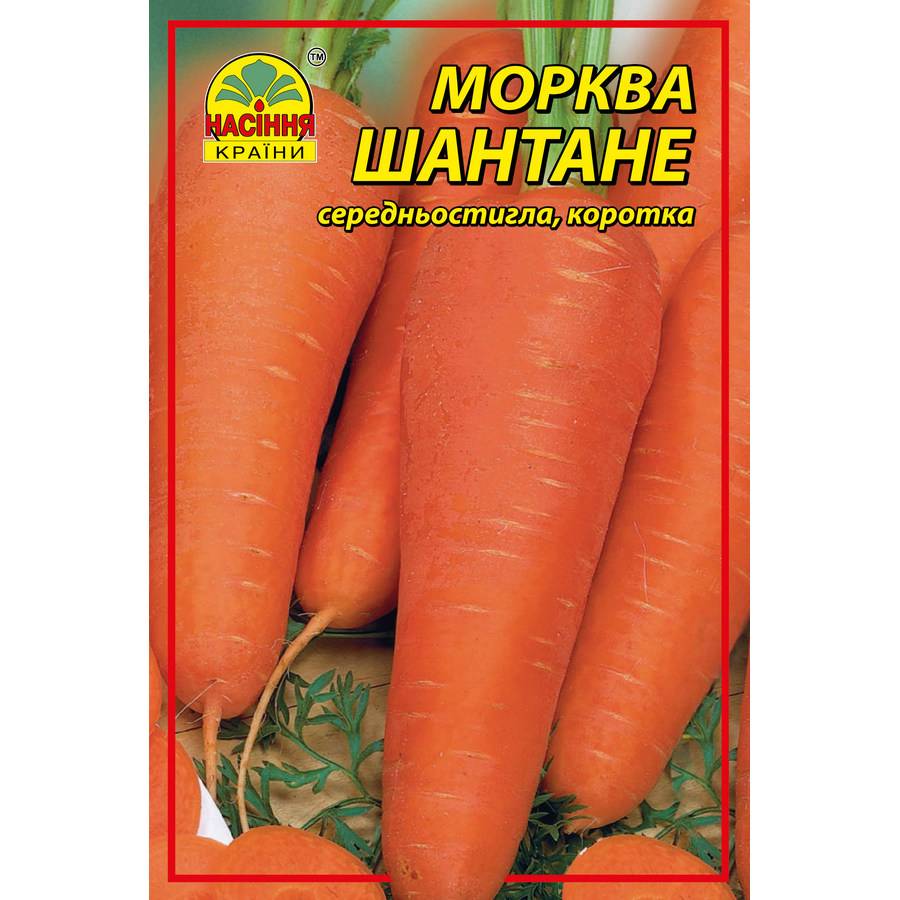 Morkov_Shantane морковь Шантане - 3 г — изображение 1