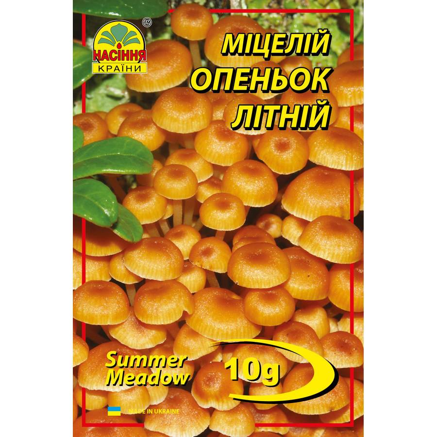 Опёнок летний Опеньок літній - 10 г - Зображення 1