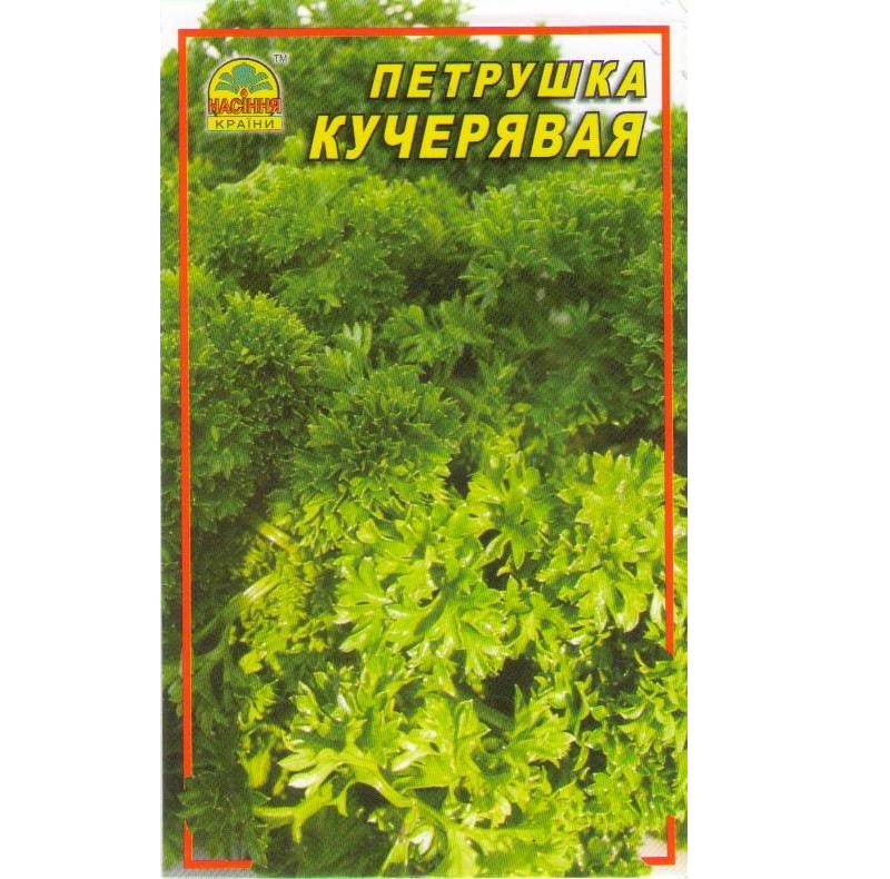 петрушка кучер petrushka-kucher