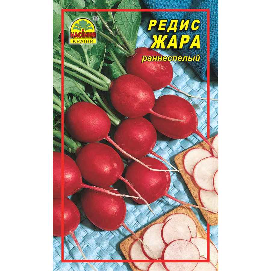 Редис Жара 708504_1 Редис Жара - 3 г — изображение 1