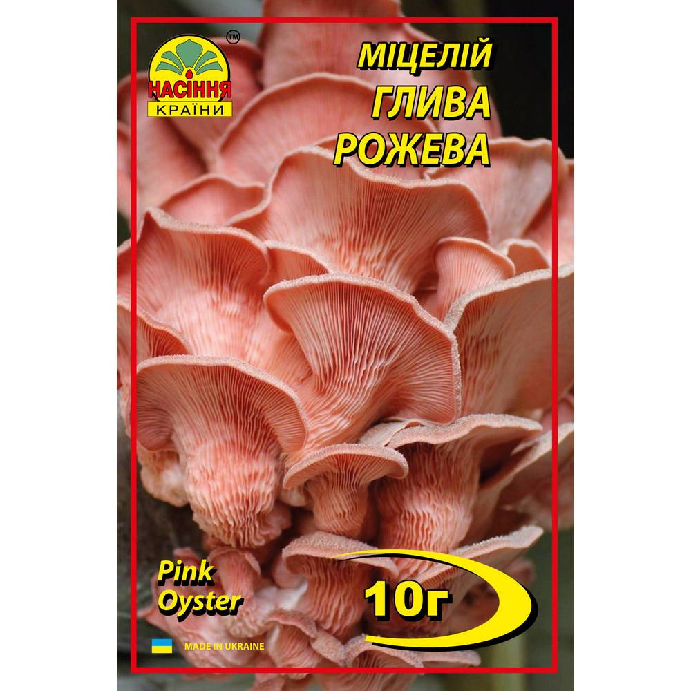 rose_oyster Вешенка розовая - 10г — изображение 1