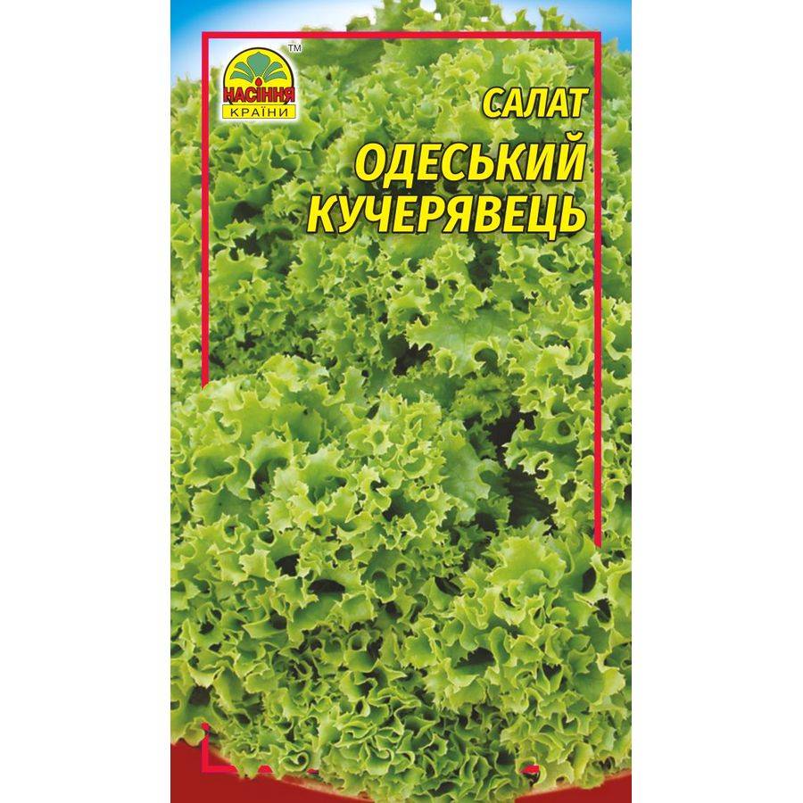 Салат Одеський кучерявець__м Салат Одеський кучерявець - 10 г - Зображення 1