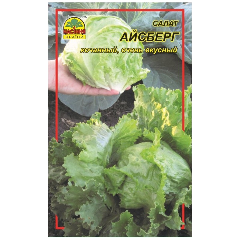 semdp00195 Насіння країни Айсберг - 0.3 г