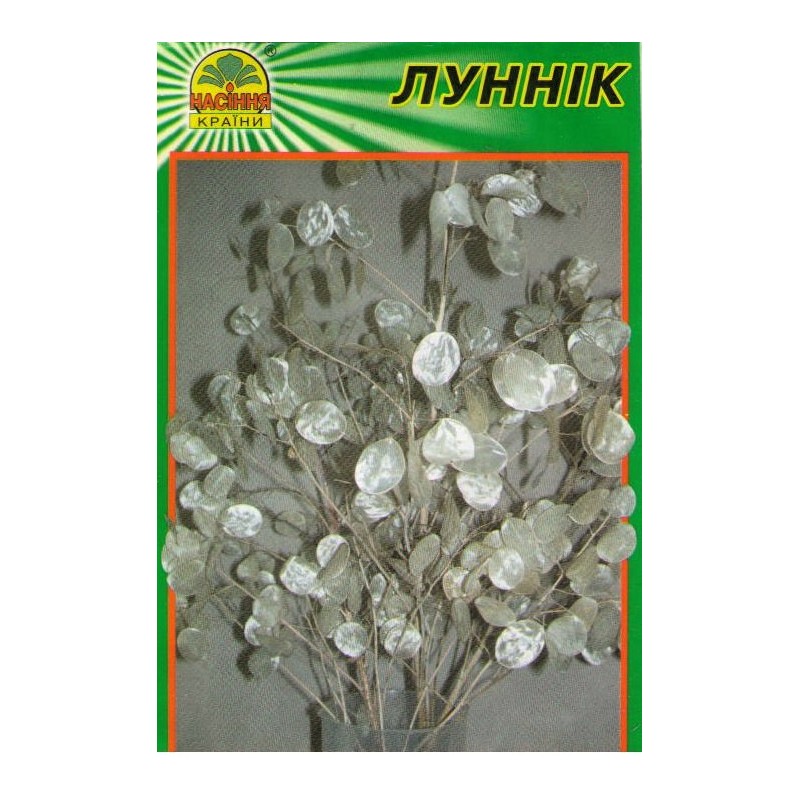 semdp00314 Насіння країни Лунник (лунария) - 10 шт.
