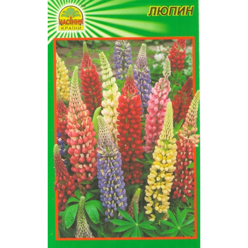 semdp00316 Насіння країни Люпин - 0