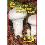 Насіння країни Дождевик съедобный - 10г