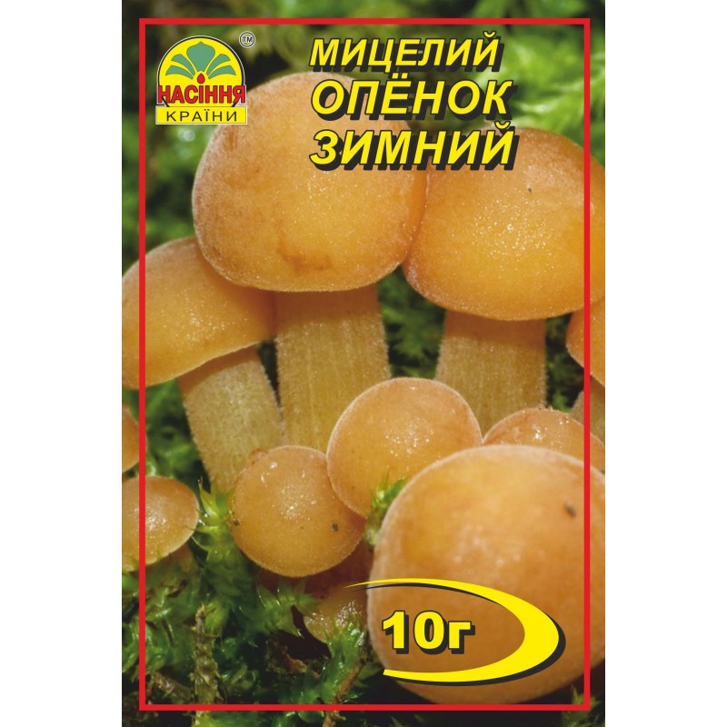 semdp00429 Насіння країни Опенок зимний - 10г