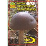 Насіння країни Подберезовик - 10г