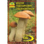 Насіння країни Подосиновик - 10г
