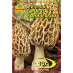 Насіння країни Сморчок конический - 10г