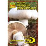 Шампиньон крупноплодный - 10г