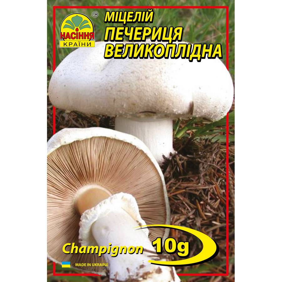 Шампиньон крупноплодный_м Шампиньон крупноплодный - 10г — изображение 1