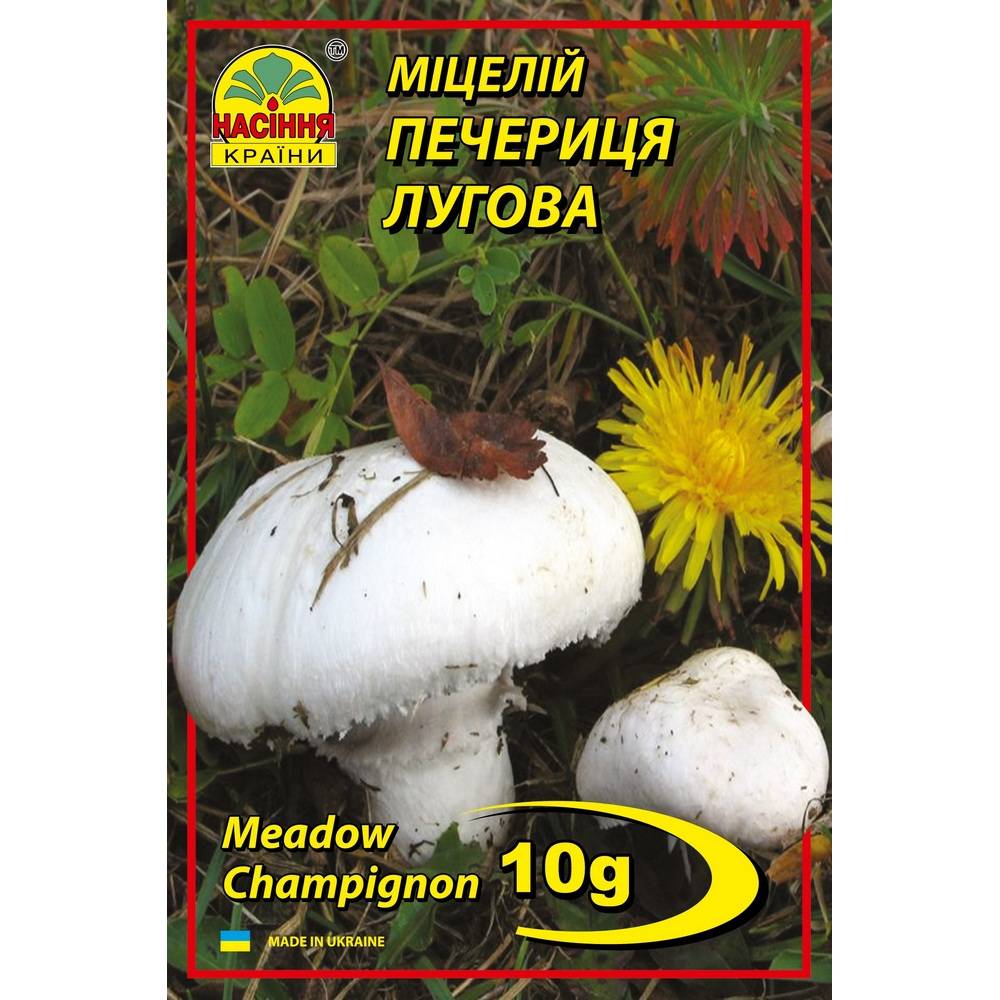 shl Печериця лугова - 10 г - Зображення 1