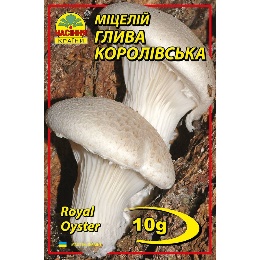 Вешенка королевская_м Глива королівська - 10г - Зображення 1