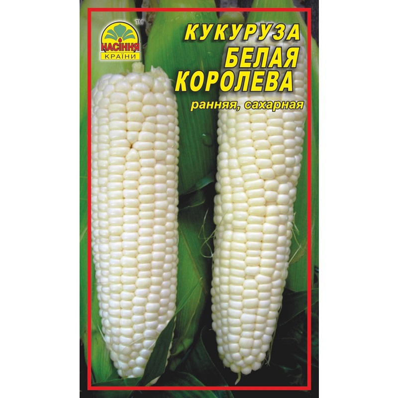 белая королева belaja-koroleva