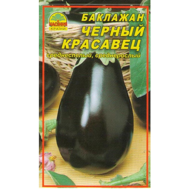 черный красавец chernyj-krasavec