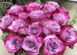 deep_purple_2