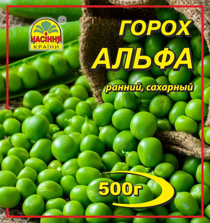 Korobka_Gazon_sportivno-igrovoy_2020 korobka_gazon_sportivno-igrovoy_2020