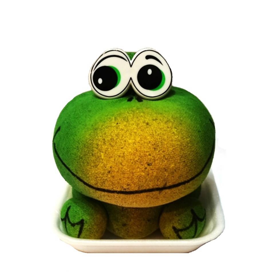 frog Трав'янчик Жабенятко - Зображення 1
