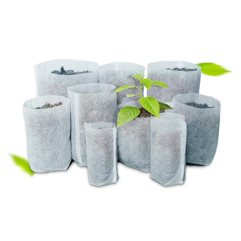 органические иешочки organicheskie-ieshochki