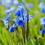 izobrazhenie_2021-10-15_135844