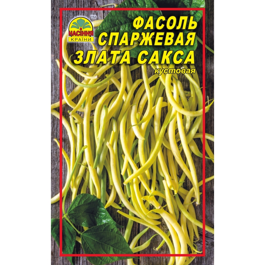 Фасоль Злата сакса_1 fasol-zlata-saksa_1