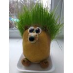 Травянчик Еж новый — изображение 2