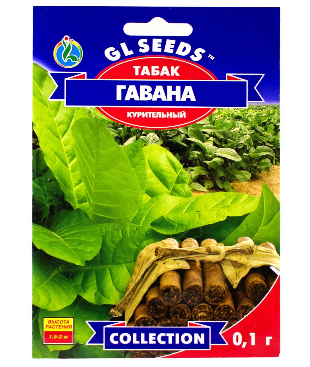 табак гаванна Насіння Gl Seeds тютюну Гавана 0,1 - Зображення 1