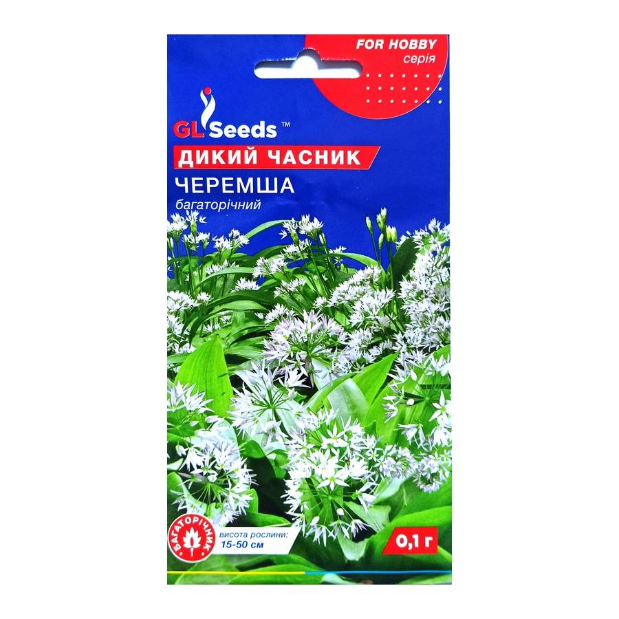черемша Насіння Черемша Дикий часник GL Seeds 0,1 г - Зображення 1