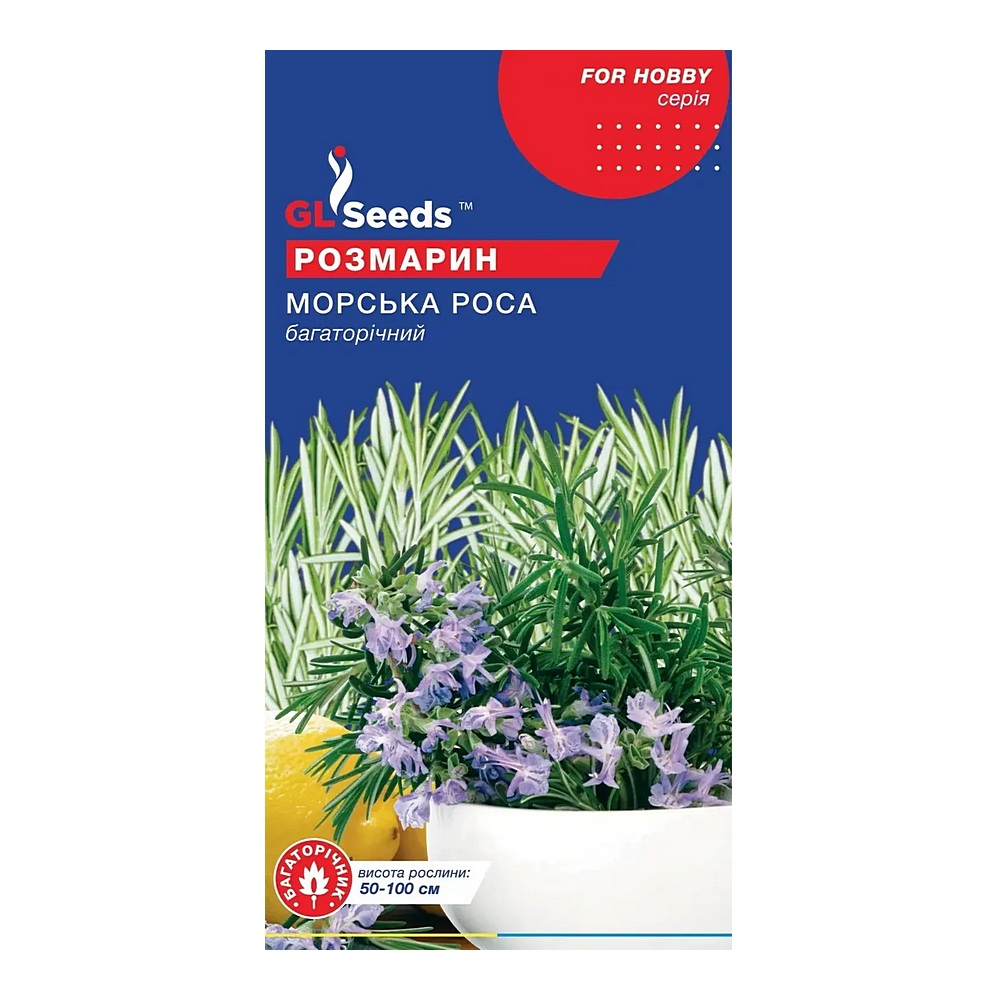 rozm Семена Розмарин Морская роса 0,1 г TM GL Seeds — изображение 1